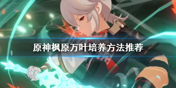 原神万叶怎么培养（元神万叶值得培养吗）
