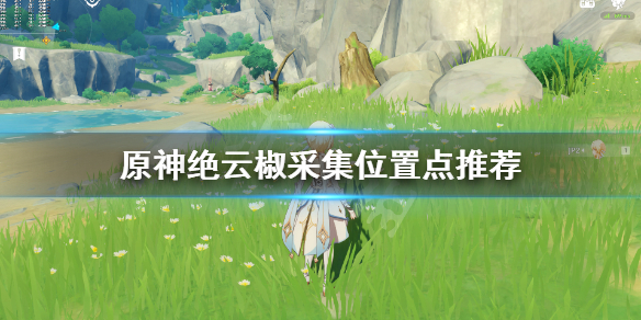 原神绝云椒哪里采集 原神绝云椒椒怎么获得