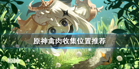原神禽肉哪里多（原神禽肉哪里得）
