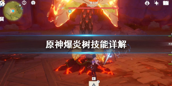 原神爆炎树有什么技能 原神爆炎树掉落概率