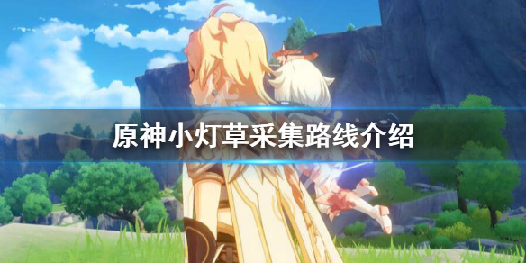 原神小灯草哪里多 原神 小灯草位置