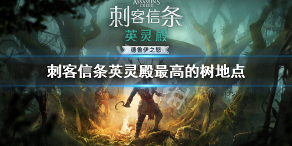 刺客信条英灵殿都柏林最高的树在哪（英灵殿都柏林旁边的钥匙）