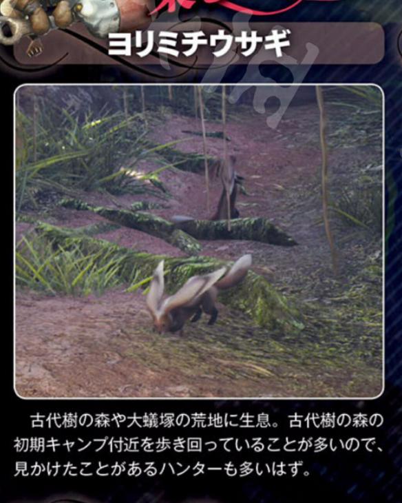 怪物猎人世界环境生物大全 全环境生物出现地点习性详解 总览