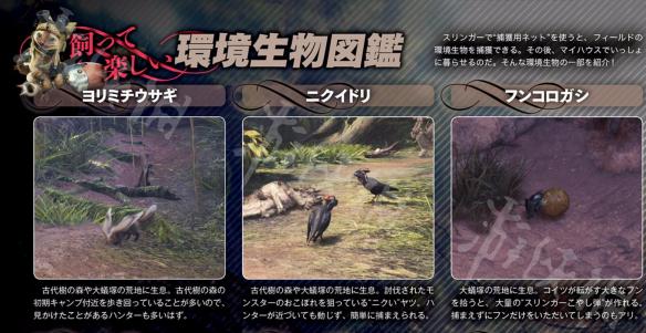怪物猎人世界环境生物大全 怪物猎人世界所有环境生物