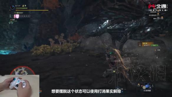 怪物猎人世界尸套龙怎么打 怪物猎人世界尸套龙在哪 怪物介绍