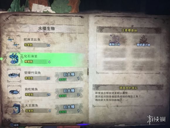 怪物猎人世界化石汤釜不上钩怎么办 怪猎世界化石鱼怎么抓