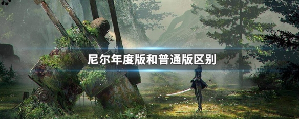 尼尔年度版和普通版区别（尼尔年度版和正常版的区别）