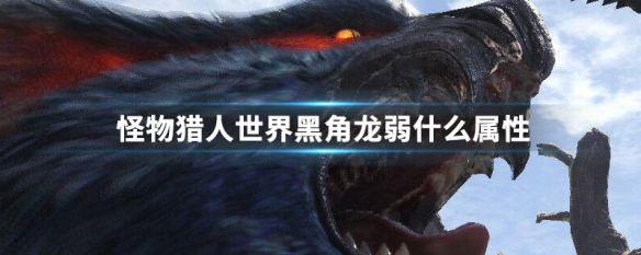 怪物猎人世界黑角龙弱什么属性（怪物猎人世界黑角龙和角龙有什么区别）