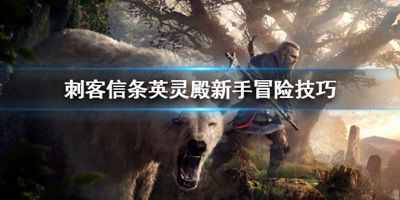 刺客信条英灵殿新手冒险要注意什么 刺客信条英灵殿前期心得