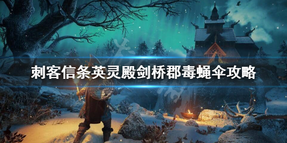 刺客信条英灵殿毒蝇伞任务怎么做（刺客信条英灵殿 毒蝇）
