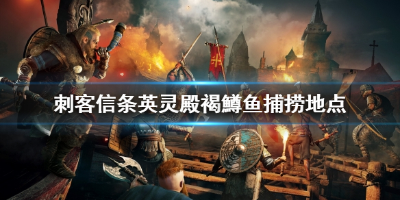 刺客信条英灵殿褐鱒鱼去哪抓（英灵殿 棕鲑鱼）