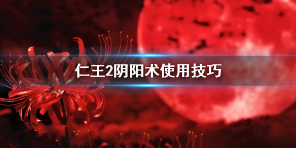 仁王2阴阳术怎么用（仁王2阴阳术怎么得）