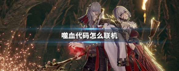 噬血代码怎么联机 噬血代码联机mod