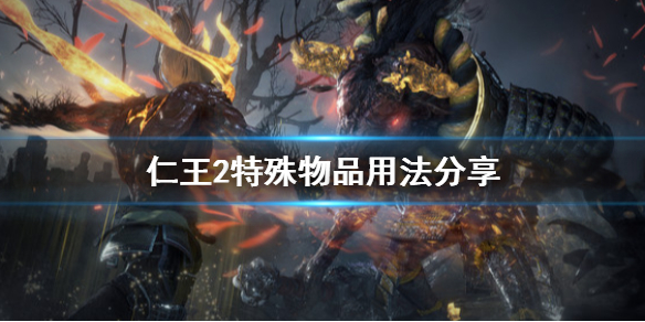 仁王2特殊物品怎么用 仁王2特殊效果怎么看