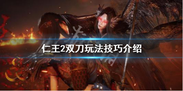 仁王2双刀怎么玩 仁王2双刀怎么玩儿