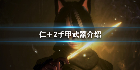 仁王2手甲好用吗（仁王2手甲用什么技能）