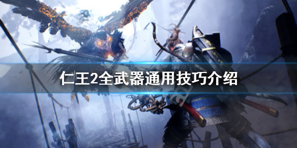 仁王2新手玩法技巧详解（仁王2新手玩法技巧详解）