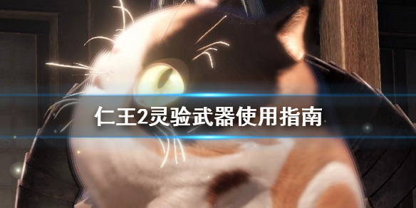 仁王2灵验武器好用吗 仁王2灵验武器好用吗知乎