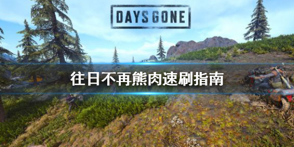往日不再熊肉去哪刷（往日不再丧尸熊）