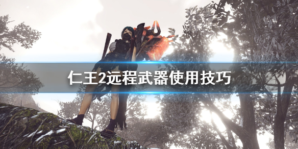 仁王2远程武器用什么 仁王2优先掉落远程武器