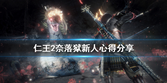 仁王2打不过奈落狱怎么办（仁王2如何快速通关奈落狱）