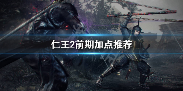 仁王2加点怎么加（仁王2加点怎么加到200）