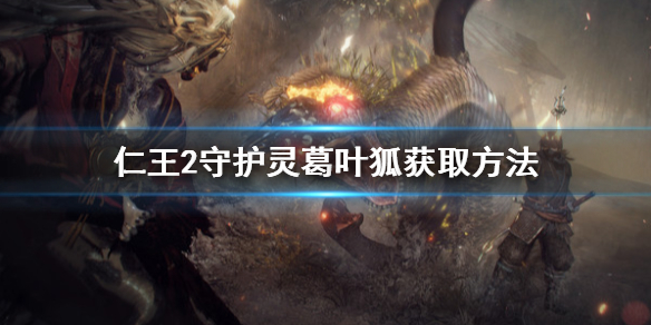 仁王2守护灵葛叶狐怎么拿（仁王2葛叶狐守护灵技能）