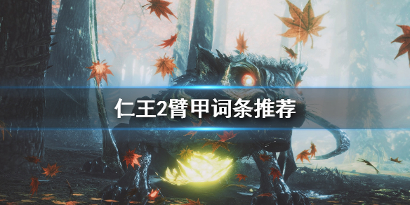 仁王2臂甲词条怎么选 仁王2臂甲不能再移植攻击力