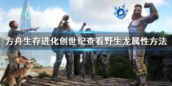 方舟生存进化怎么查看野生龙属性 方舟生存进化怎么查看野生龙属性值