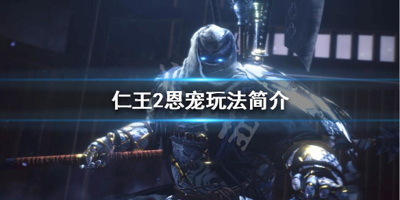 仁王2恩宠是什么意思（仁王2恩宠对应层数）