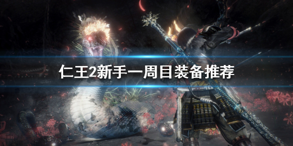 仁王2新手装备怎么选择（仁王2新手装备怎么选择属性）