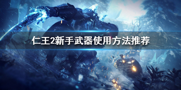 仁王2武器怎么选择（仁王2武器选什么）