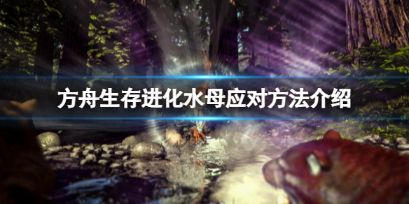 方舟生存进化水母怎么打（方舟 怎么打水母）