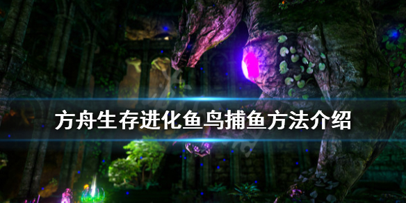 方舟生存进化鱼鸟怎么抓鱼（方舟生存进化鱼鸟怎么抓鱼的）