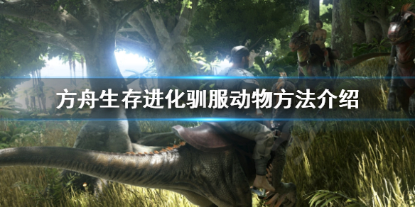 方舟生存进化火蜥蜴怎么驯服 方舟火蜥蜴鞍