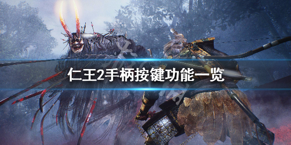 仁王2手柄按键功能一览（仁王2手柄按键功能一览怎么设置）