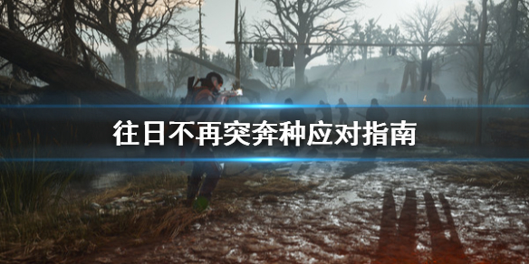 往日不再突奔种是什么（往日不再最好的突击步枪）