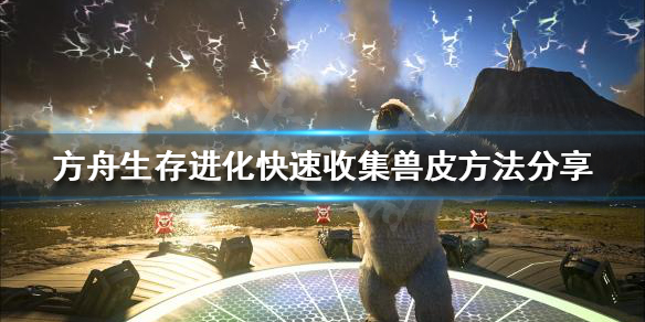 方舟生存进化兽皮如何收集（方舟生存进化兽皮收集最多的龙）