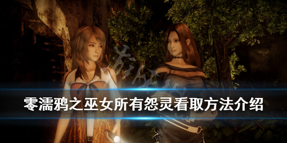 零濡鸦之巫女怨灵怎么看取 零濡鸦之巫女全灵收集奖励