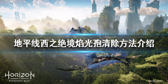 地平线西之绝境焰光孢是什么 地平线零之曙光和西之绝境