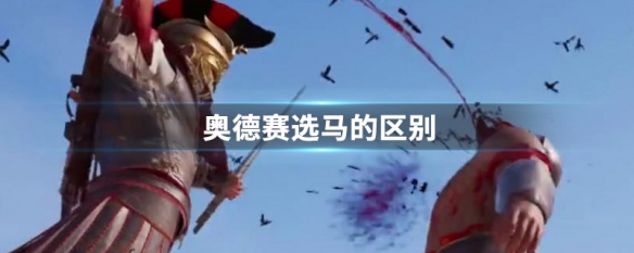 奥德赛选马的区别（奥德赛马怎么选）