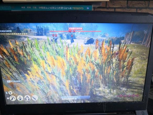 刺客信条奥德赛达芙涅在哪 达芙涅任务佣兵打传奇动物技巧