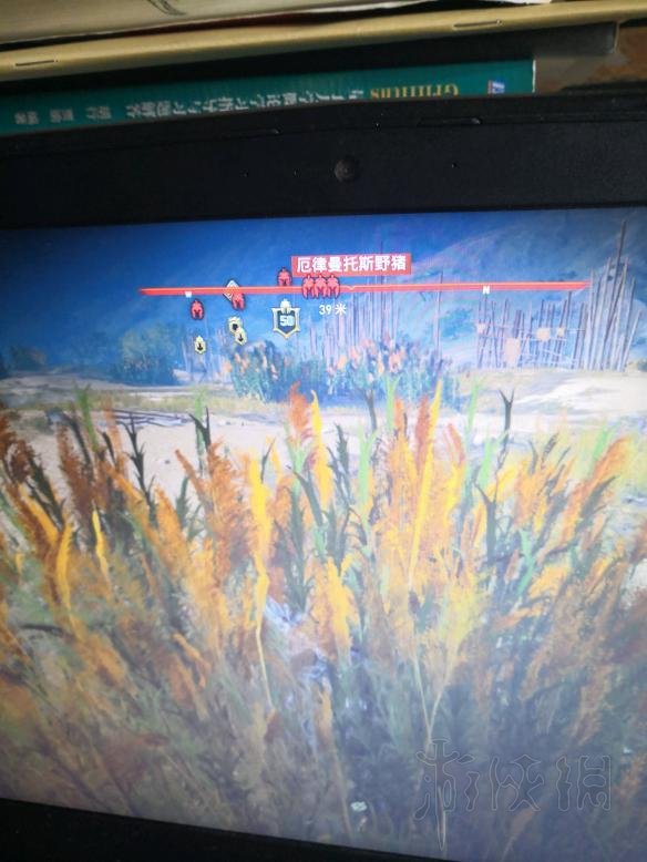 刺客信条奥德赛达芙涅在哪 达芙涅任务佣兵打传奇动物技巧
