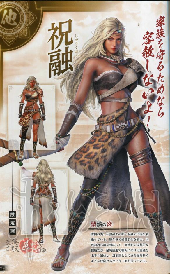真三国无双8全角色原画图鉴一览 真三国无双8角色原画怎么样 晋国-邓艾
