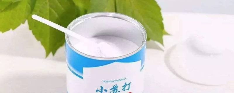 菠萝没有盐用什么代替（菠萝没有盐用什么代替好吃）
