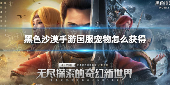 黑色沙漠手游棕色领路鹰怎么获得（黑色沙漠手游装备怎么获得）