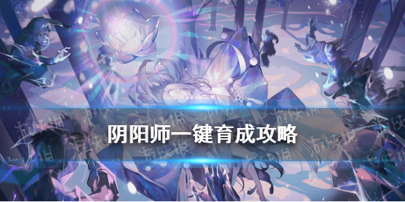 阴阳师一键育成怎么用 阴阳师如何一键育成
