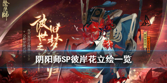 阴阳师SP彼岸花立绘一览 阴阳师 sp 彼岸花