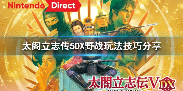 太阁立志传5DX野战怎么打（太阁立志传5激战模式）
