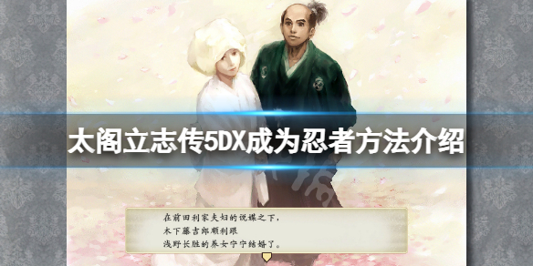 太阁立志传5DX忍者怎么当（太阁立志传5忍者好玩吗）